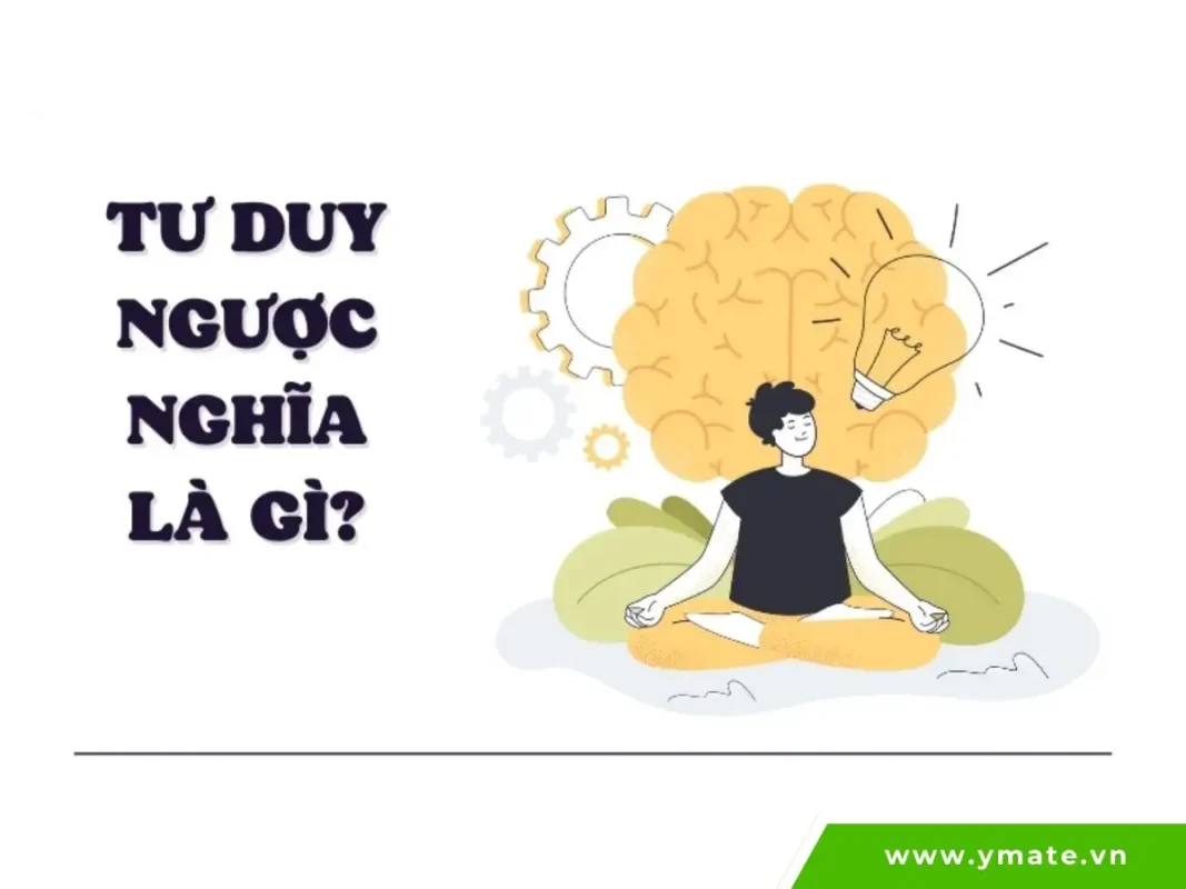 Khái niệm tư duy ngược