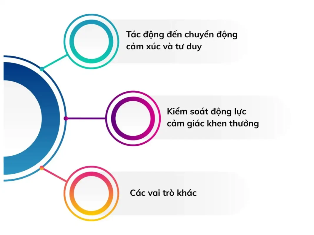 Công dụng của hormone hạnh phúc