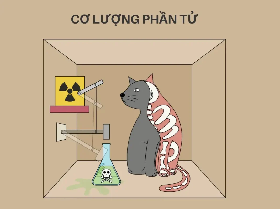 Cơ lượng phần tử