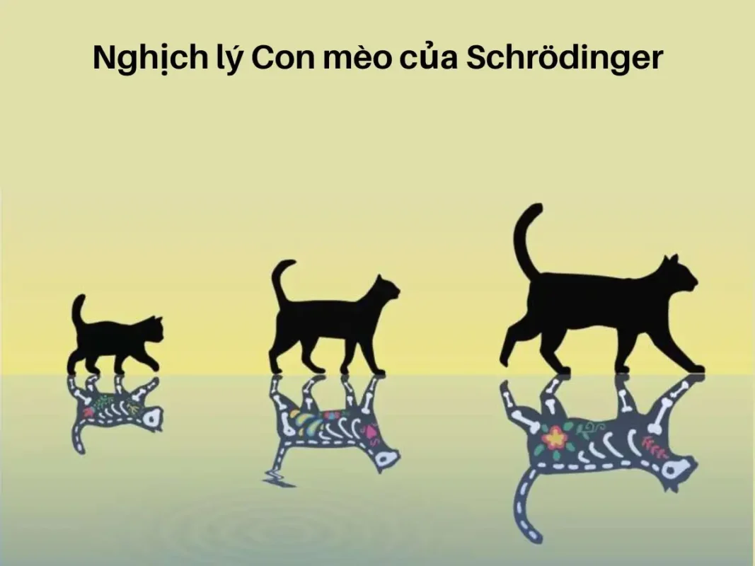 Nghịch lý Con mèo của Schrödinger