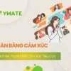 Cân bằng cảm xúc
