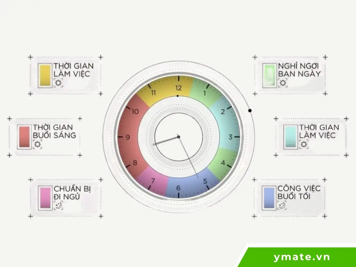 Làm việc theo nhịp sinh học cá nhân