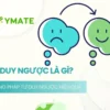 Tư duy ngược