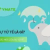 Sức hút của sự tử tế