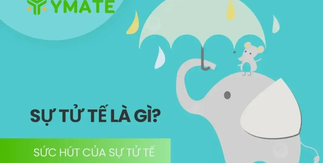 Sức hút của sự tử tế