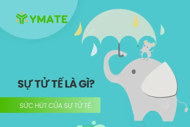 Sức hút của sự tử tế