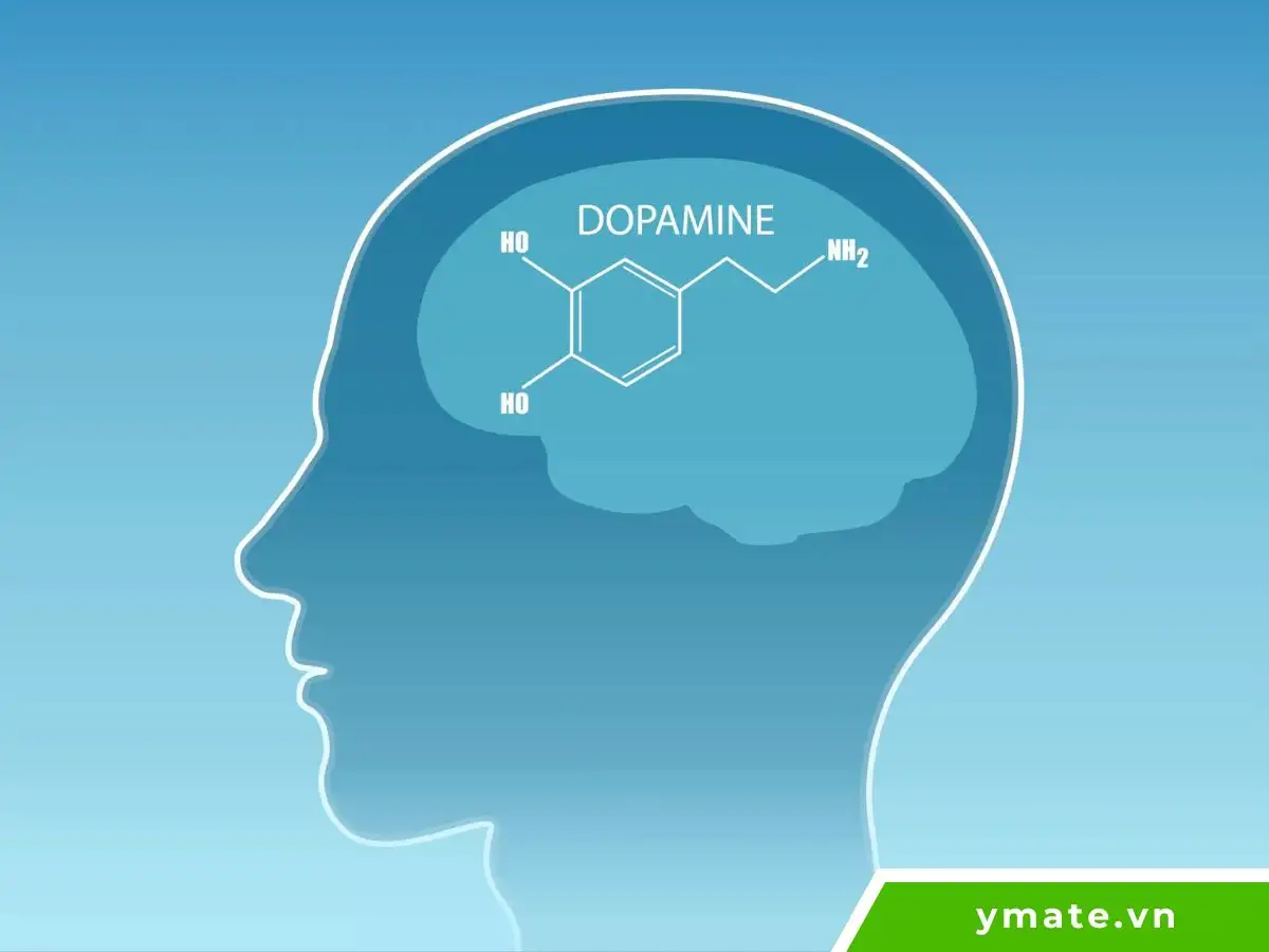 Dopamine Detox