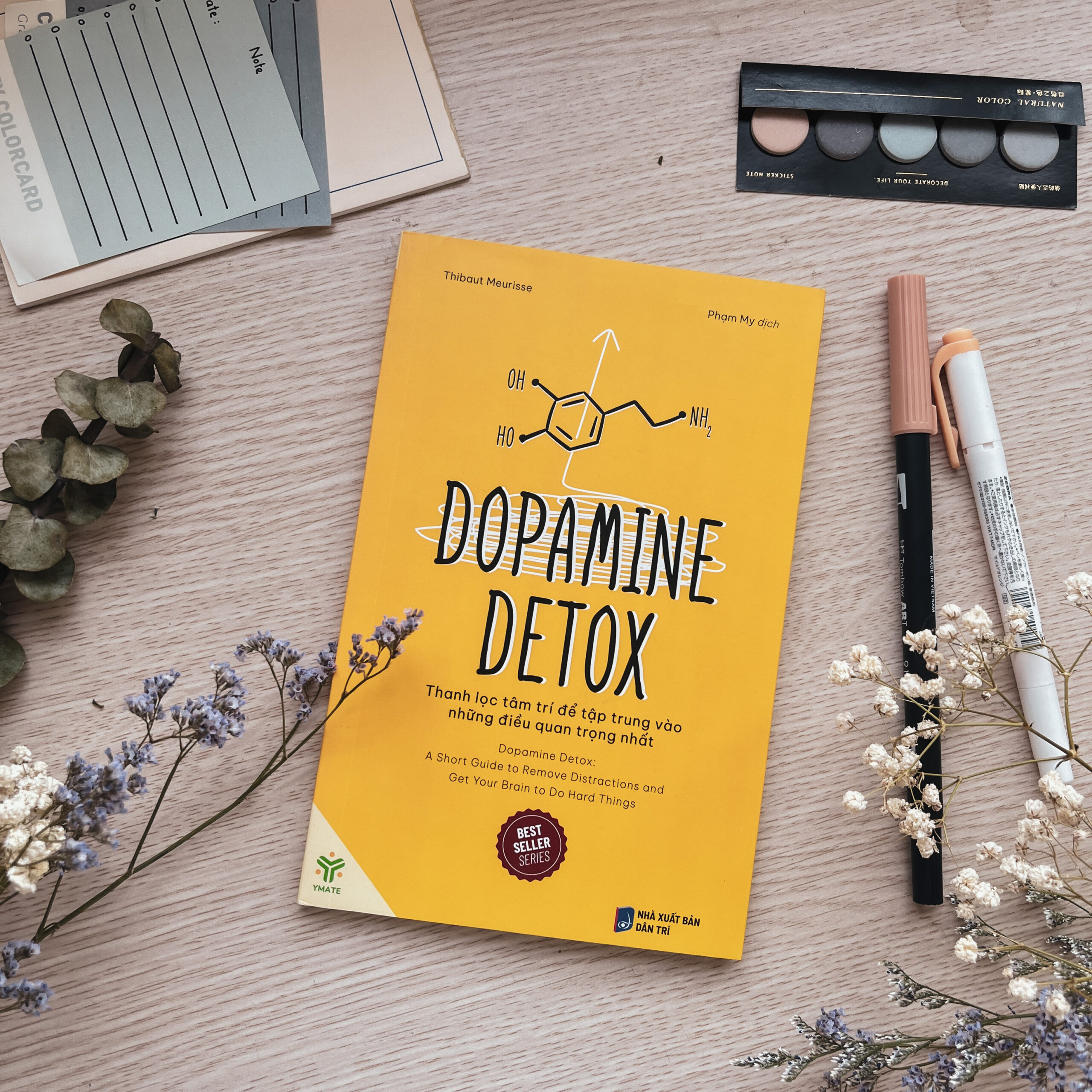 Dopamine Detox
