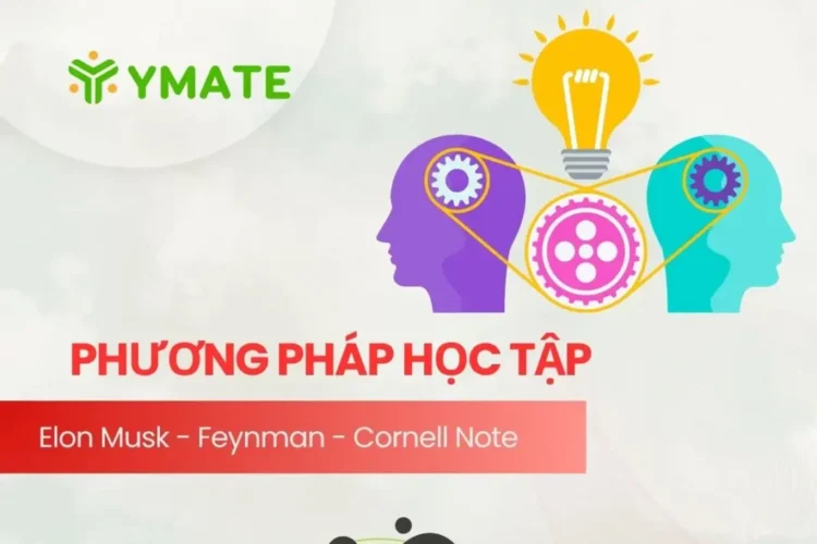 Phương pháp học tập