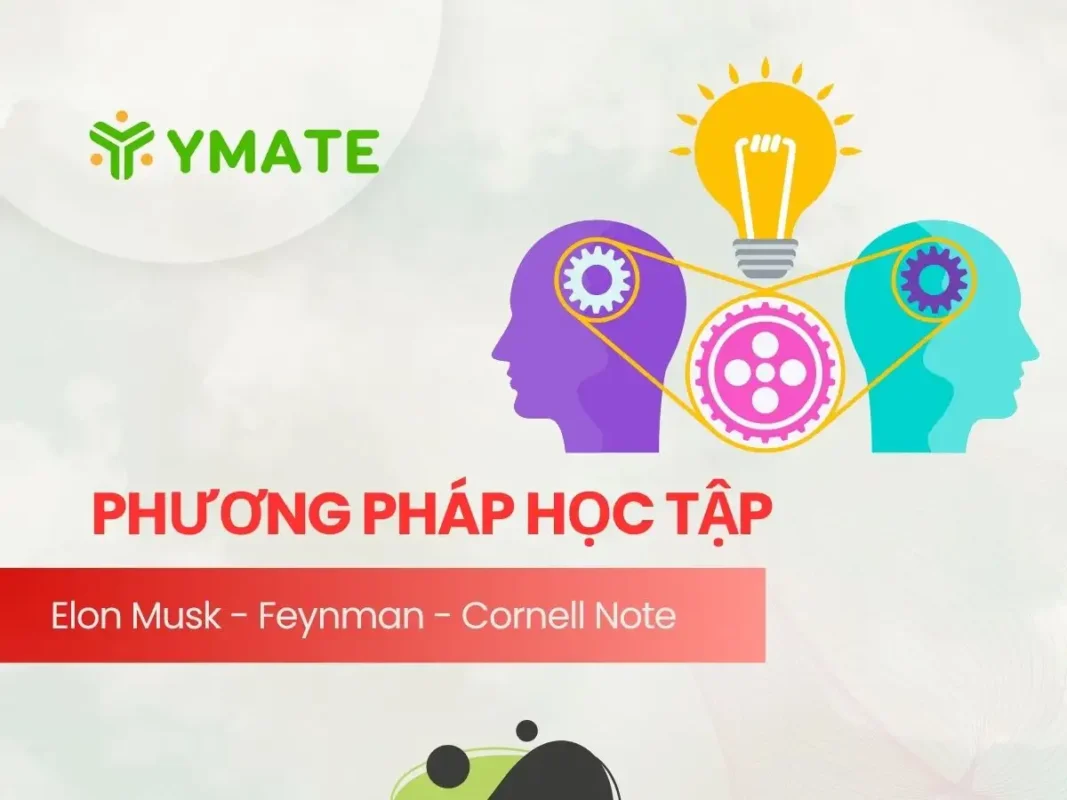 Phương pháp học tập