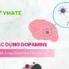 Tác dụng của Dopamine