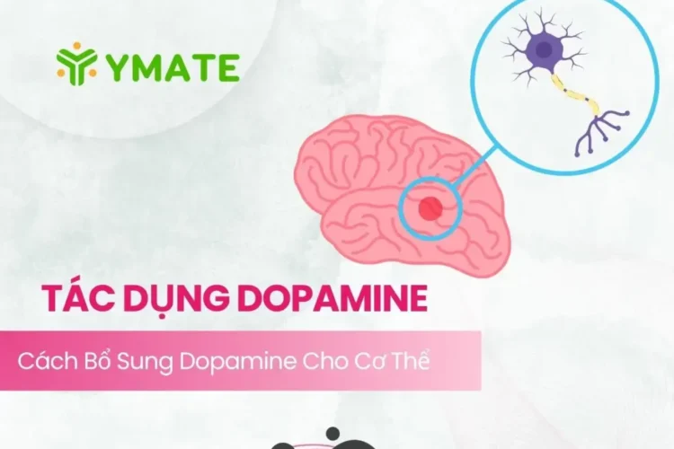 Tác dụng của Dopamine