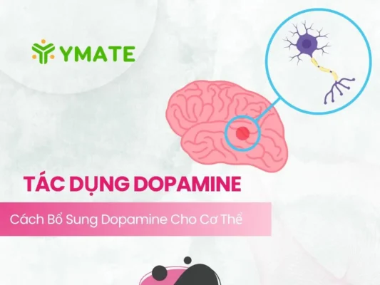 Tác dụng của Dopamine