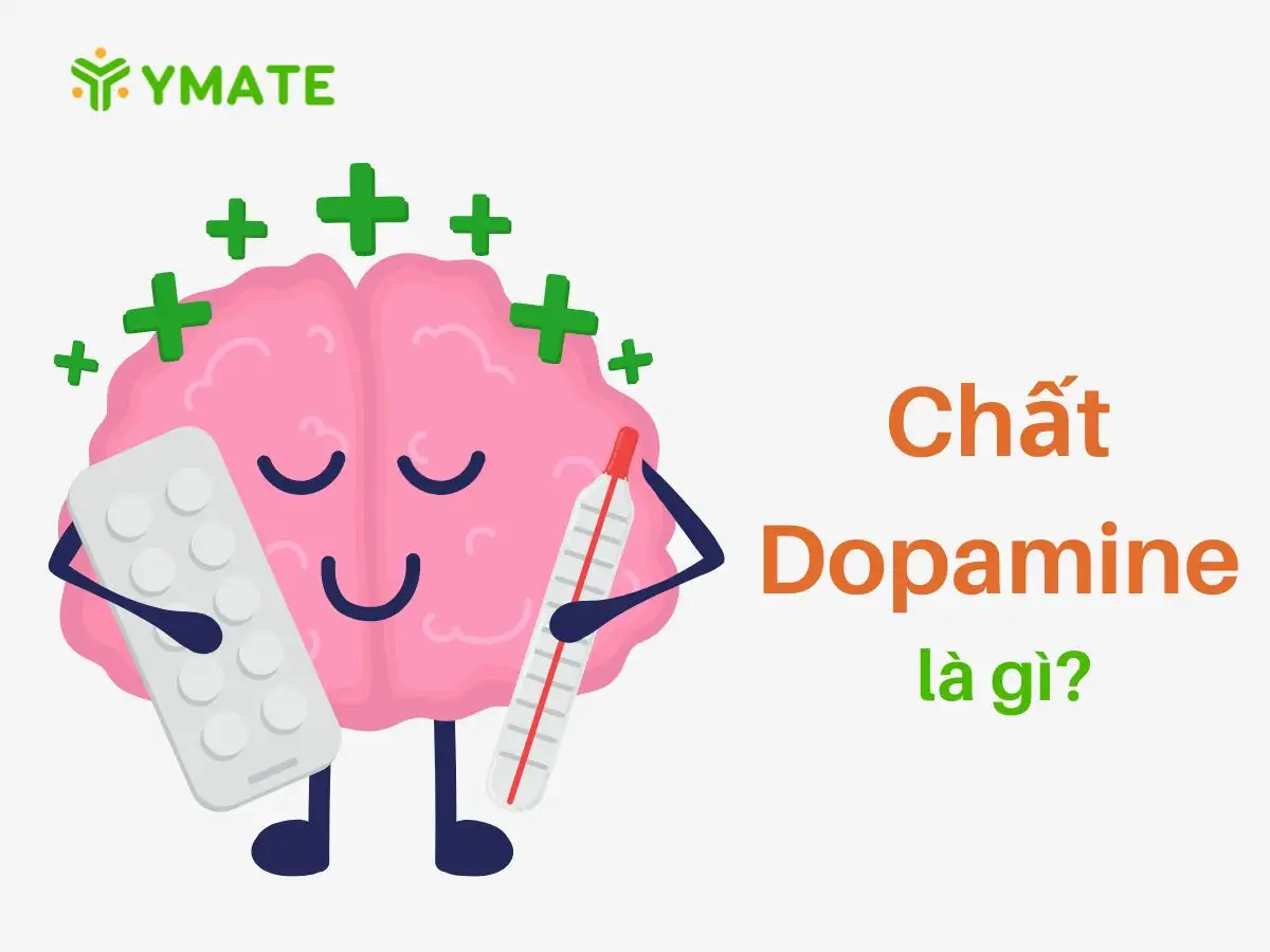 Chất Dopamine (1)