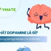 Chất Dopamine là gì