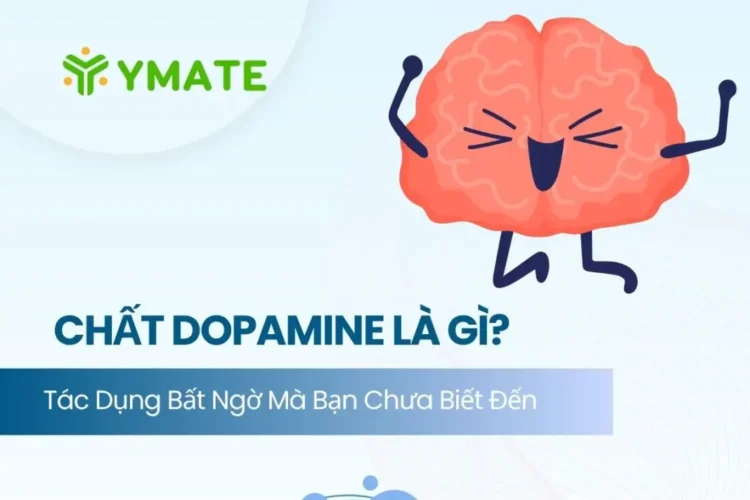 Chất Dopamine là gì