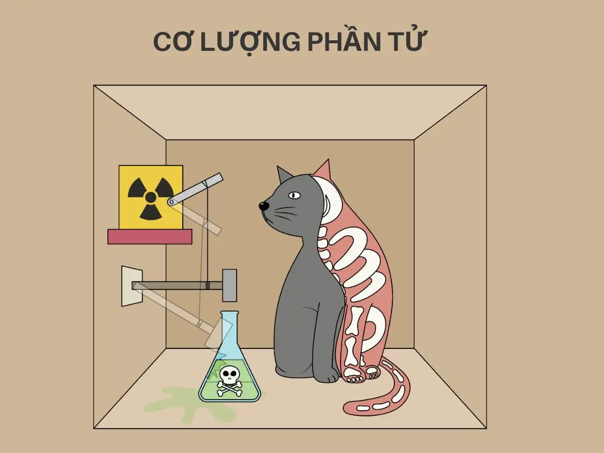 Cơ lượng phần tử