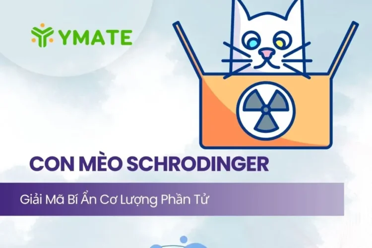 Con mèo của Schrödinger