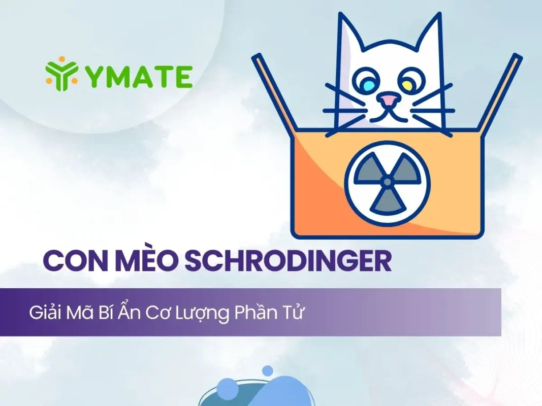 Con mèo của Schrodinger