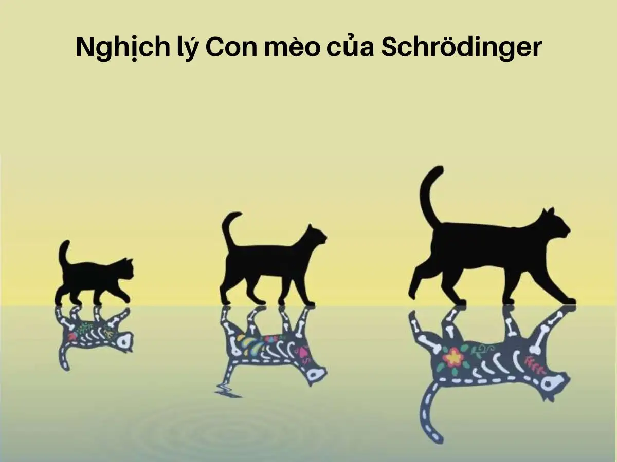 Nghịch lý Con mèo của Schrödinger