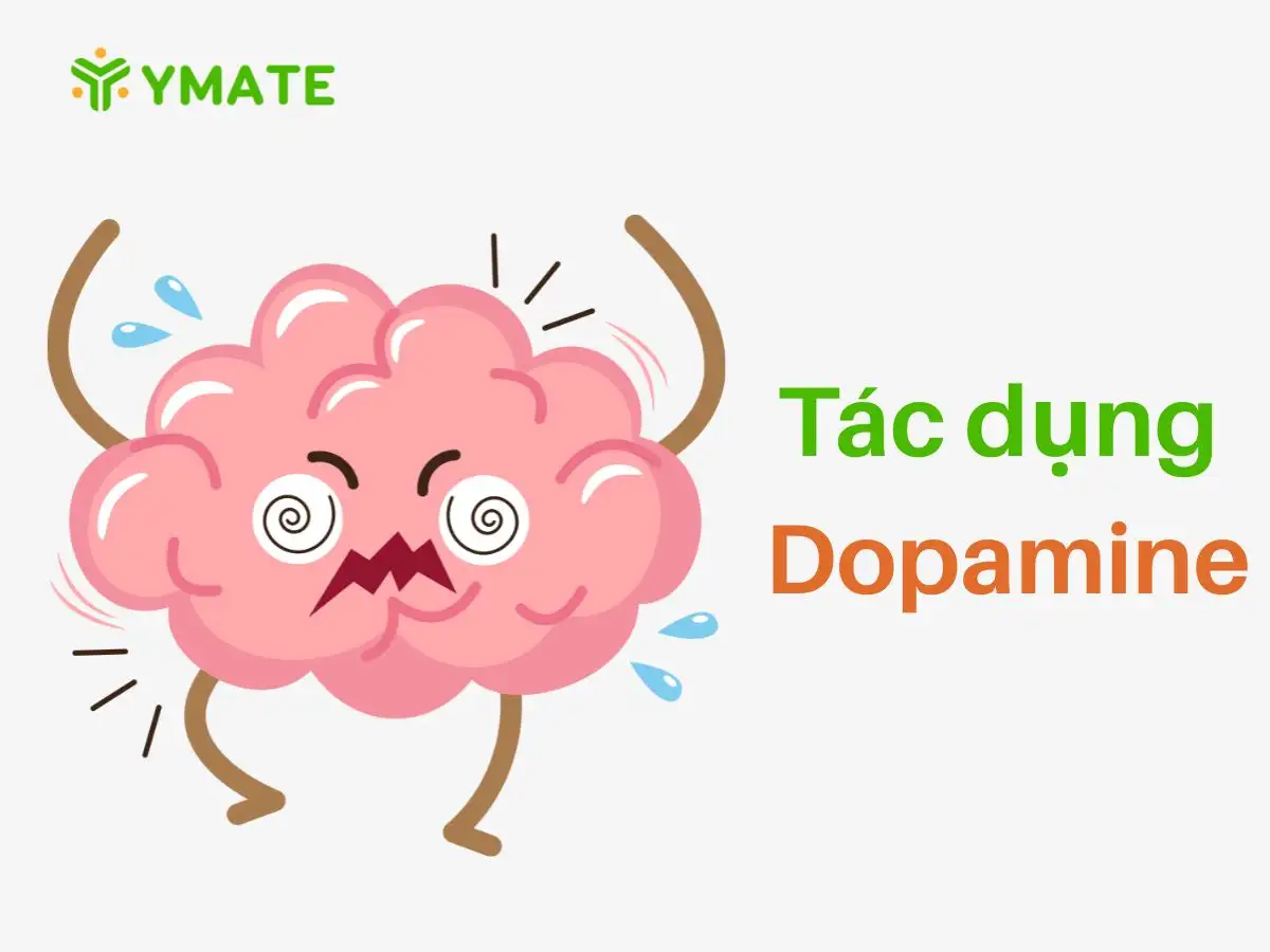 Tác dụng của Dopamine (1)