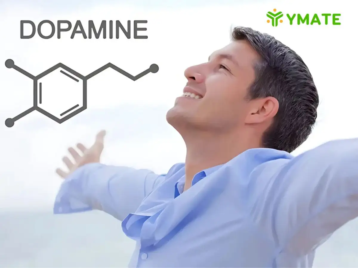 Tăng Hormone Dopamine và duy trì cảm xúc