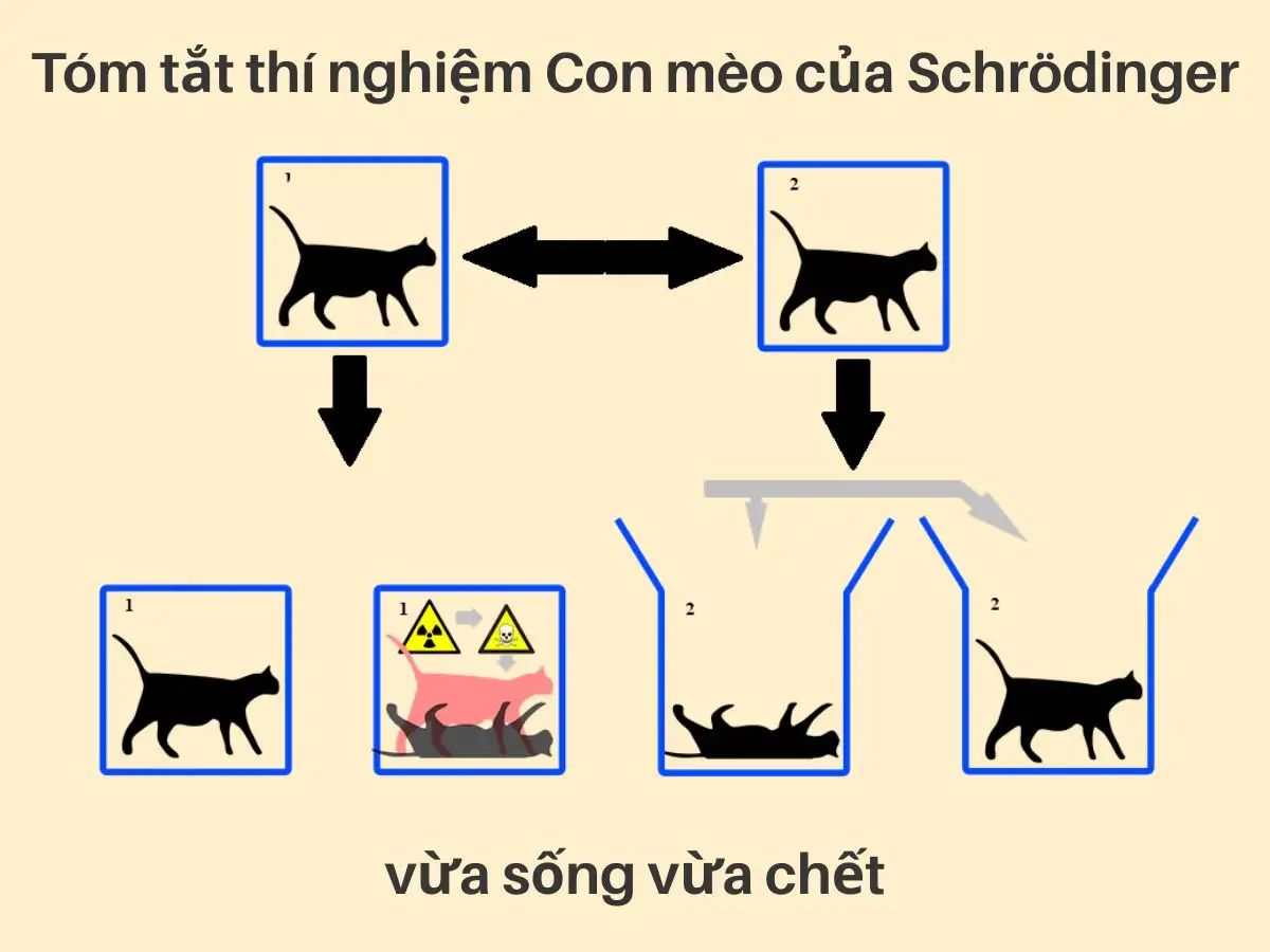 Tóm tắt thí nghiệm Con mèo của Schrödinger