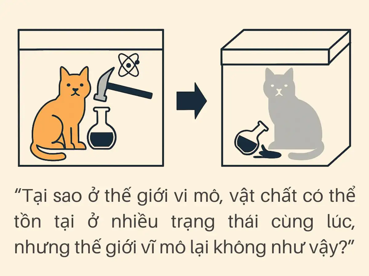 Ý nghĩa của thí nghiệm