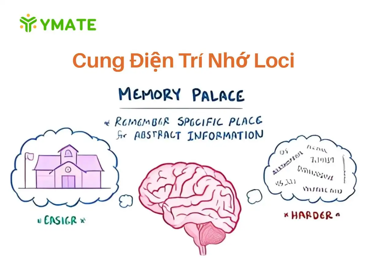 Cung điện trí nhớ Loci