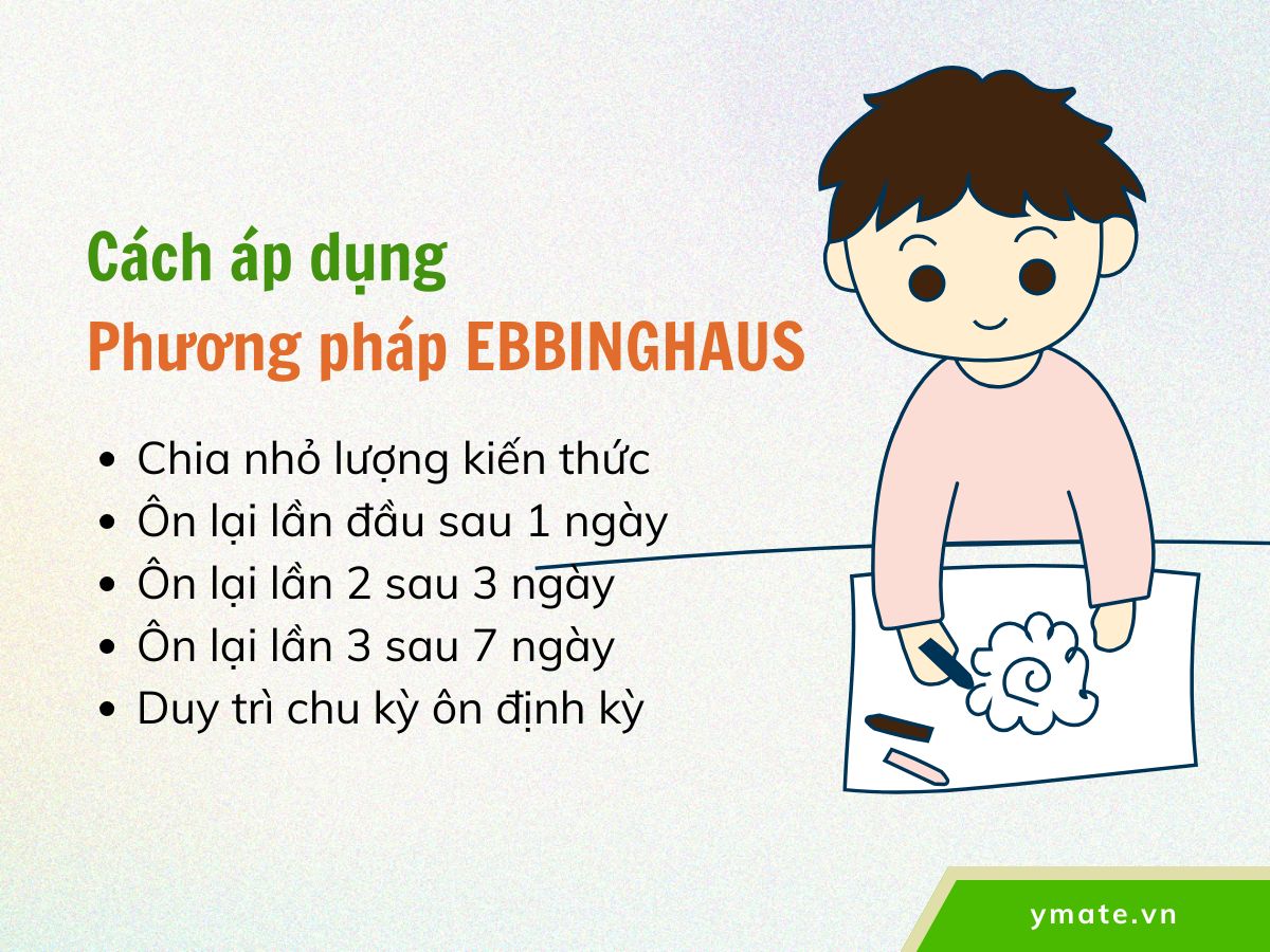 Cách áp dụng Phương pháp Ebbinghaus