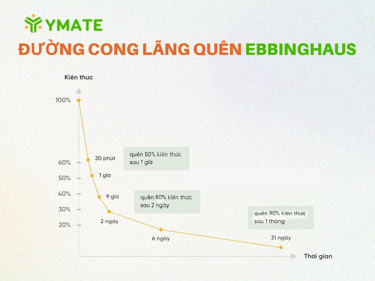Đường cong lãng quên Ebbinghaus (1)