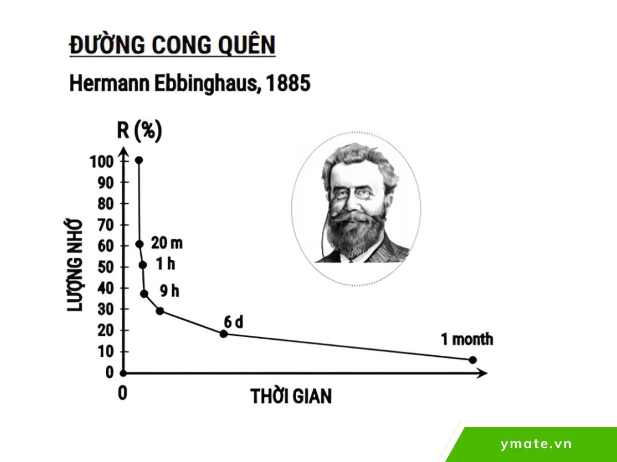 Đường cong quên Ebbinghaus