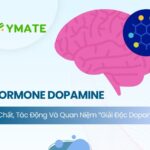 Giải mã hormone dopamine