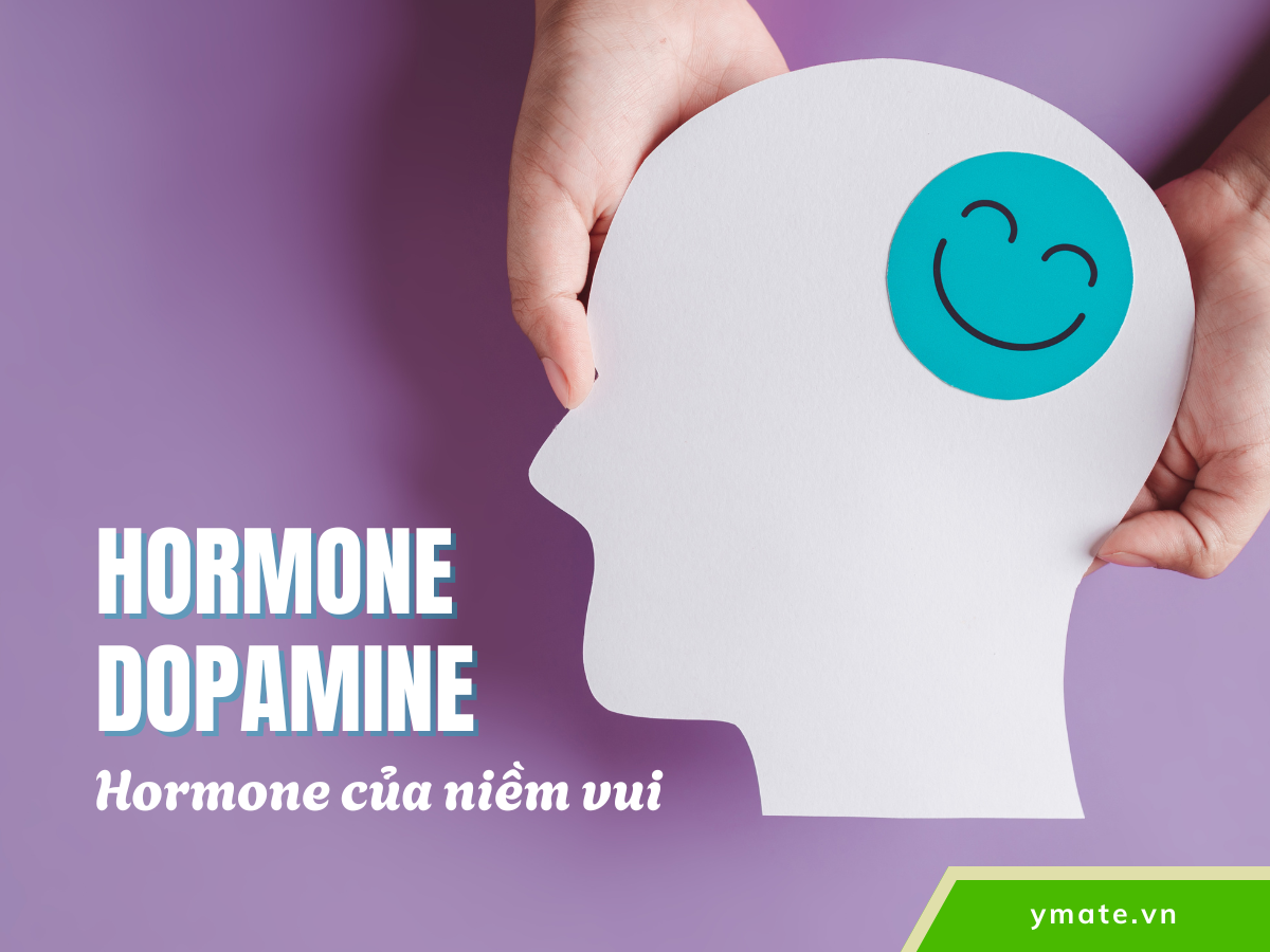YMATE | Giải mã hormone dopamine