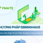 Phương pháp Ebbinghaus