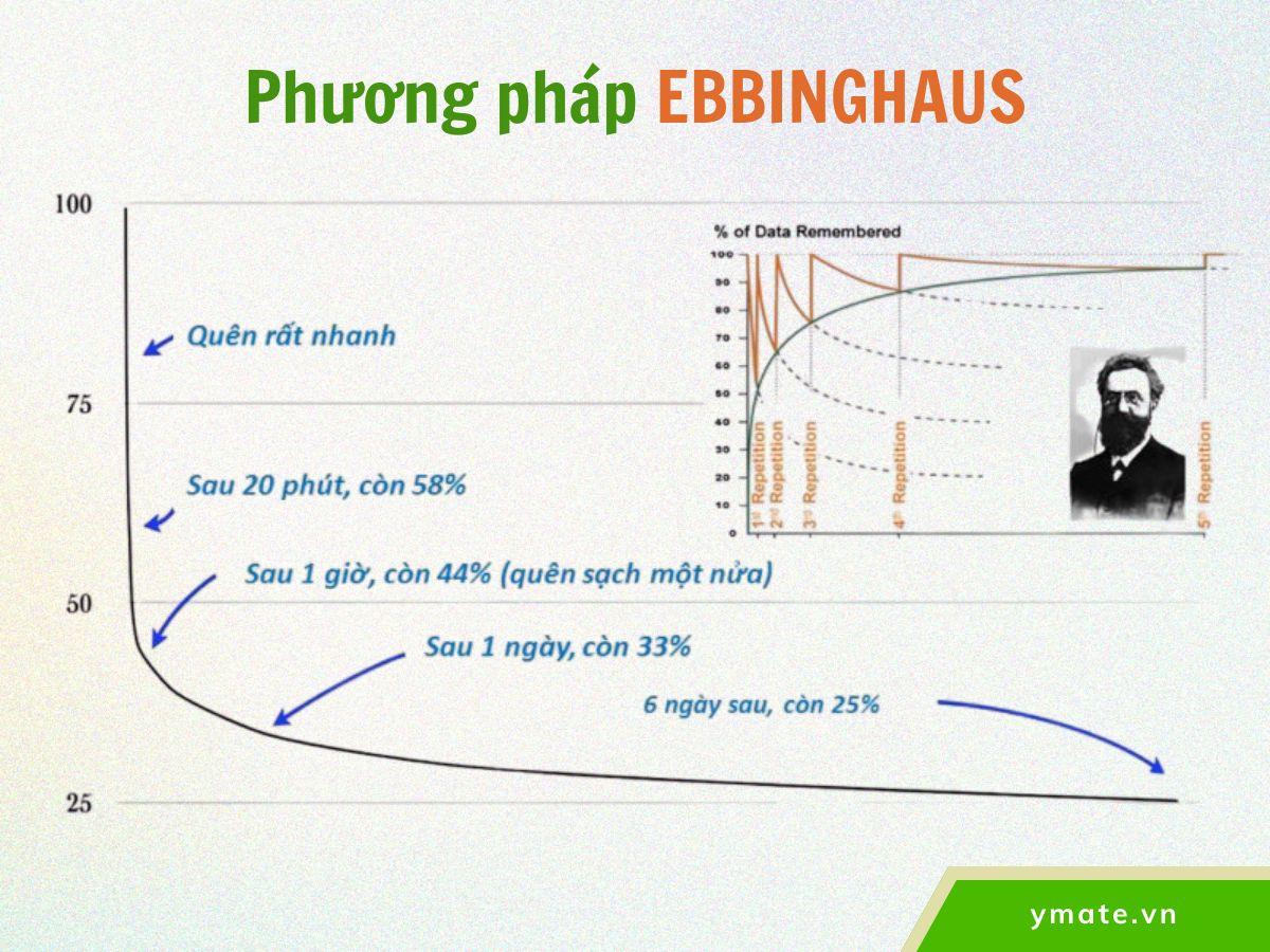 Phương pháp Ebbinghaus - Ghi nhớ bằng lặp lại ngắt quãng