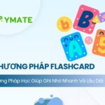 Phương pháp học Flashcard