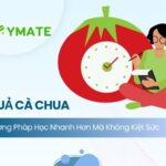 Phương pháp học quả cà chua