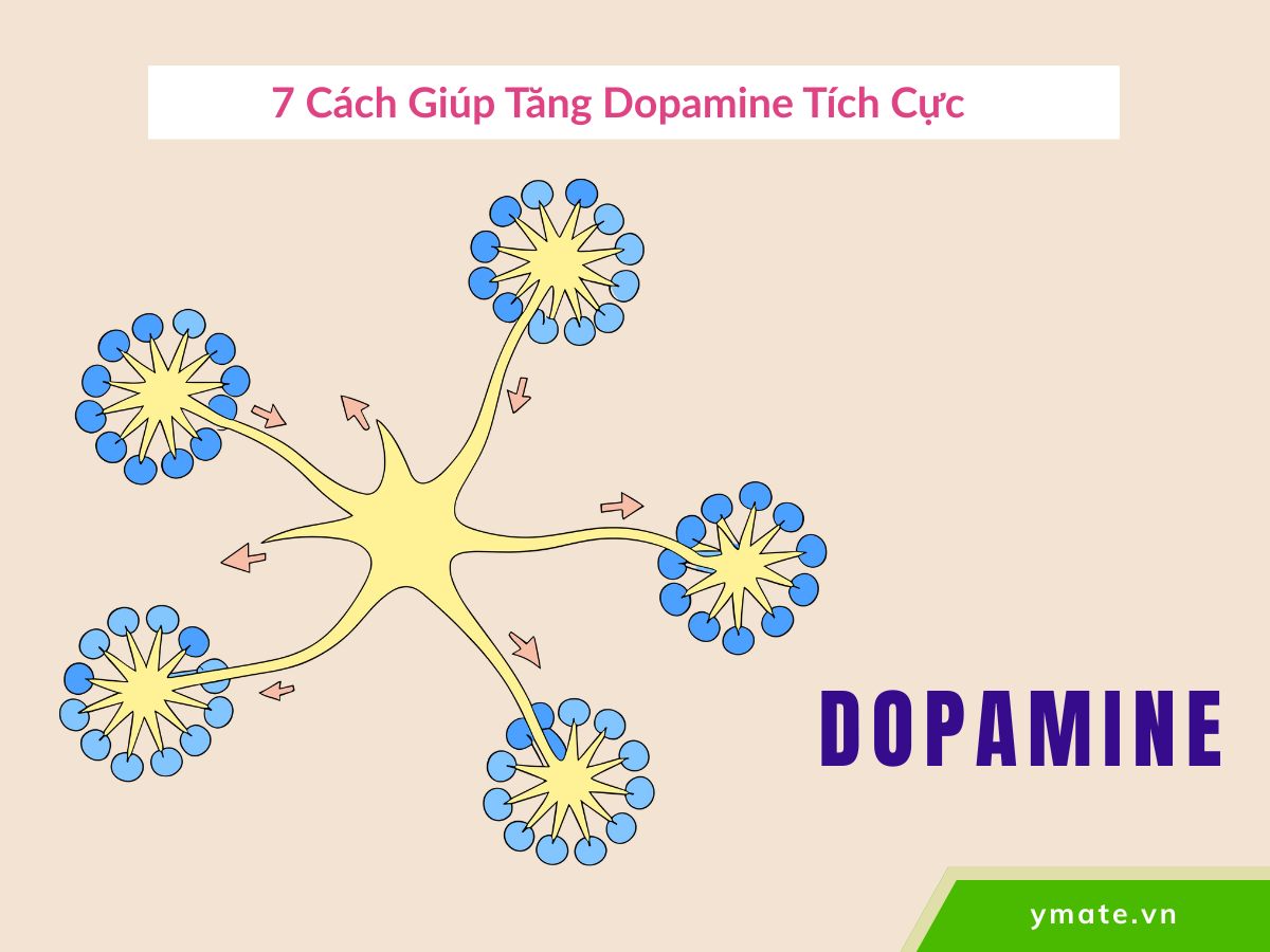 7 cách giúp tăng Dopamine tích cực