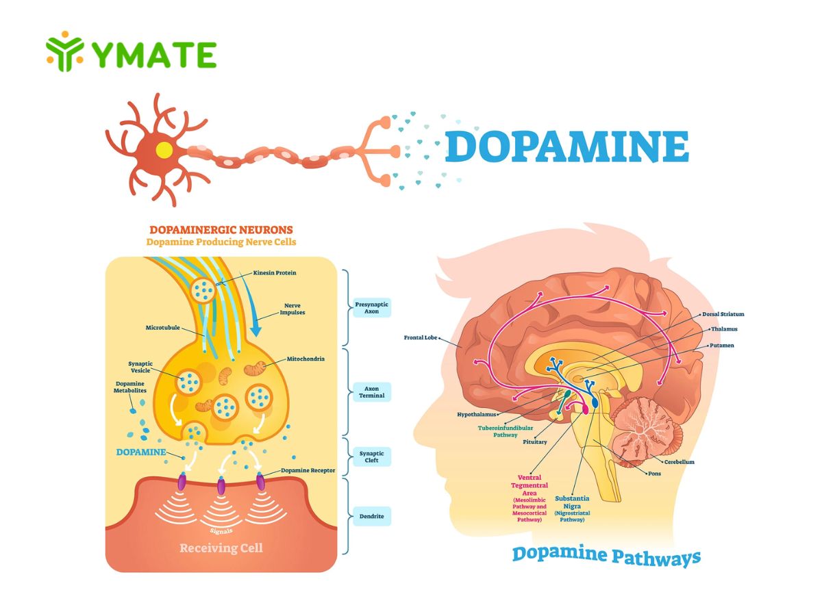 Dopamine Detox (5)