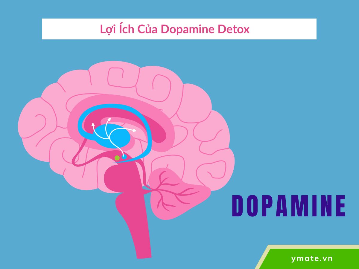 Lợi ích của Dopamine Detox