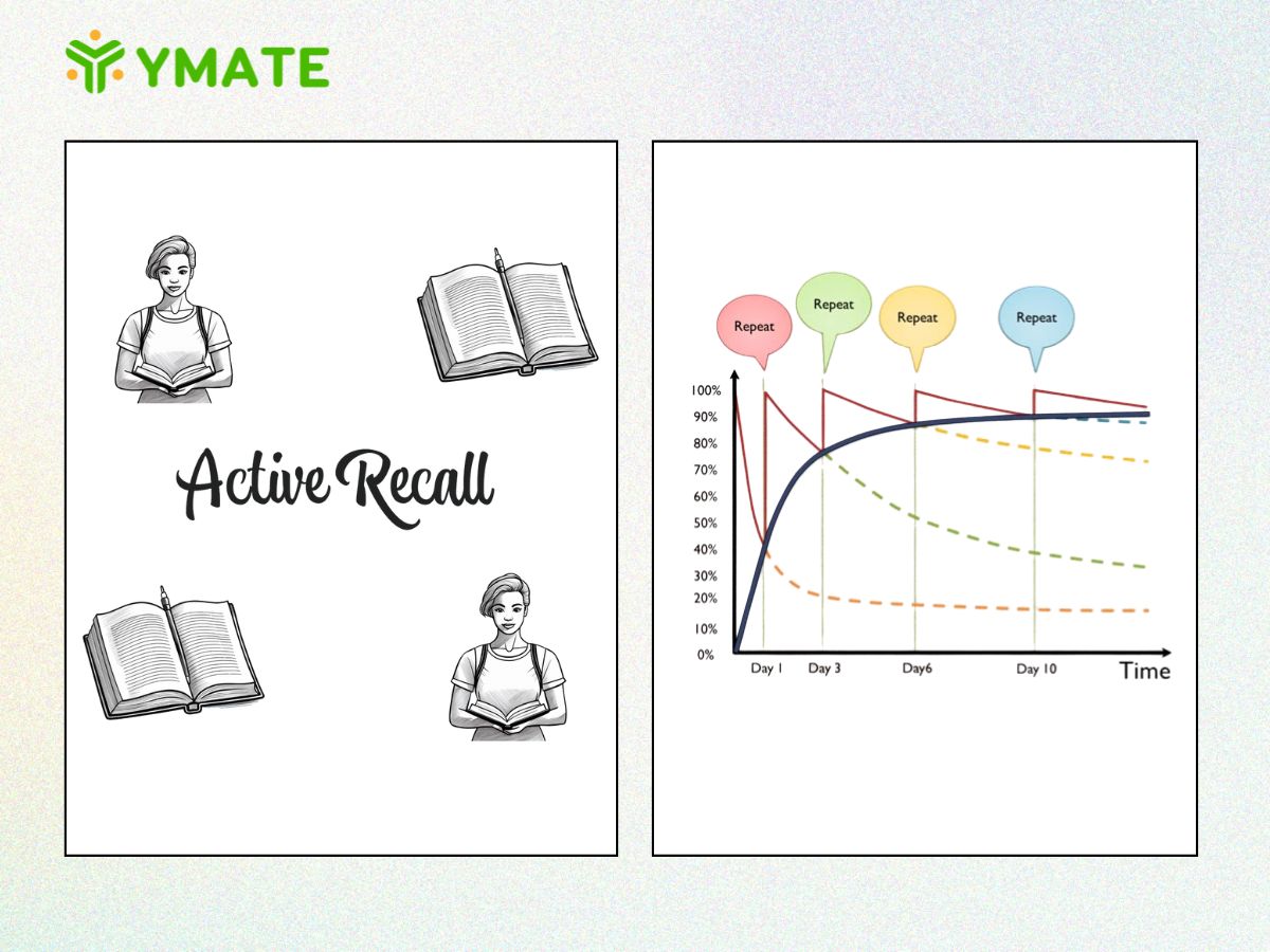 Phương pháp học Active Recall và Spaced Repetition