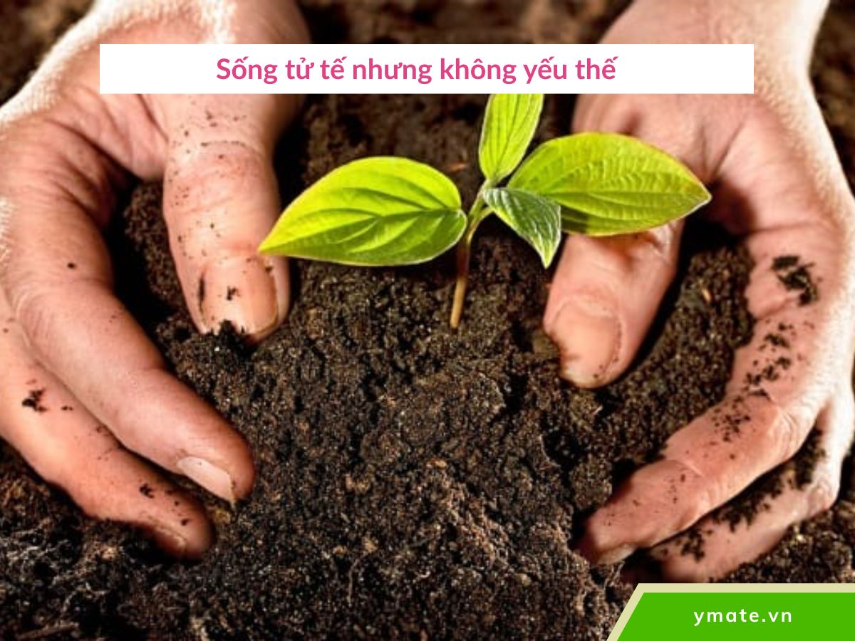 Sống tử tế nhưng không yếu thế