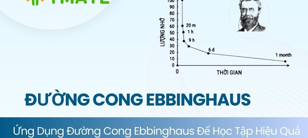Đường cong lãng quên Ebbinghaus (2)