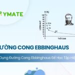 Đường cong lãng quên Ebbinghaus (2)
