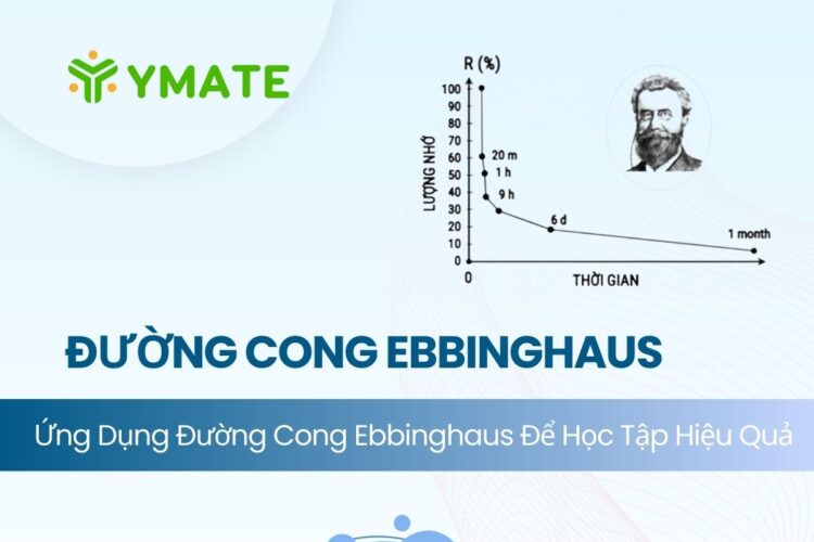 Đường cong lãng quên Ebbinghaus (2)