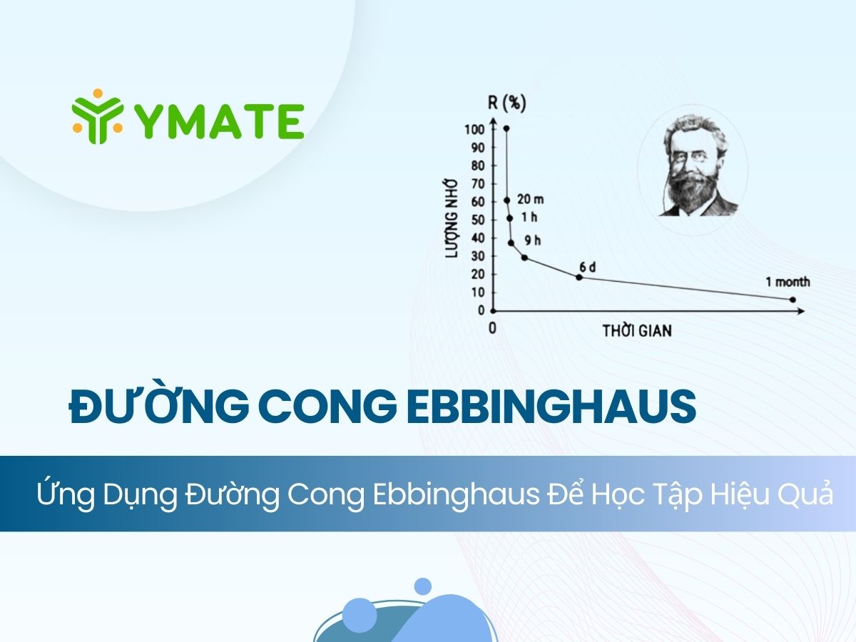 Đường cong lãng quên Ebbinghaus (2)