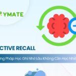 Phương pháp học Active Recall