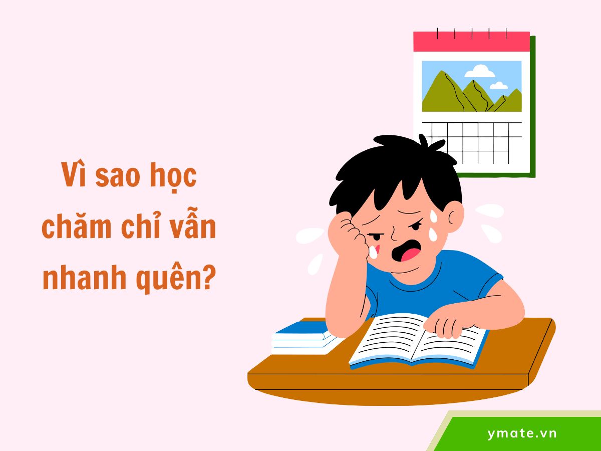Vì sao học chăm chỉ vẫn nhanh quên