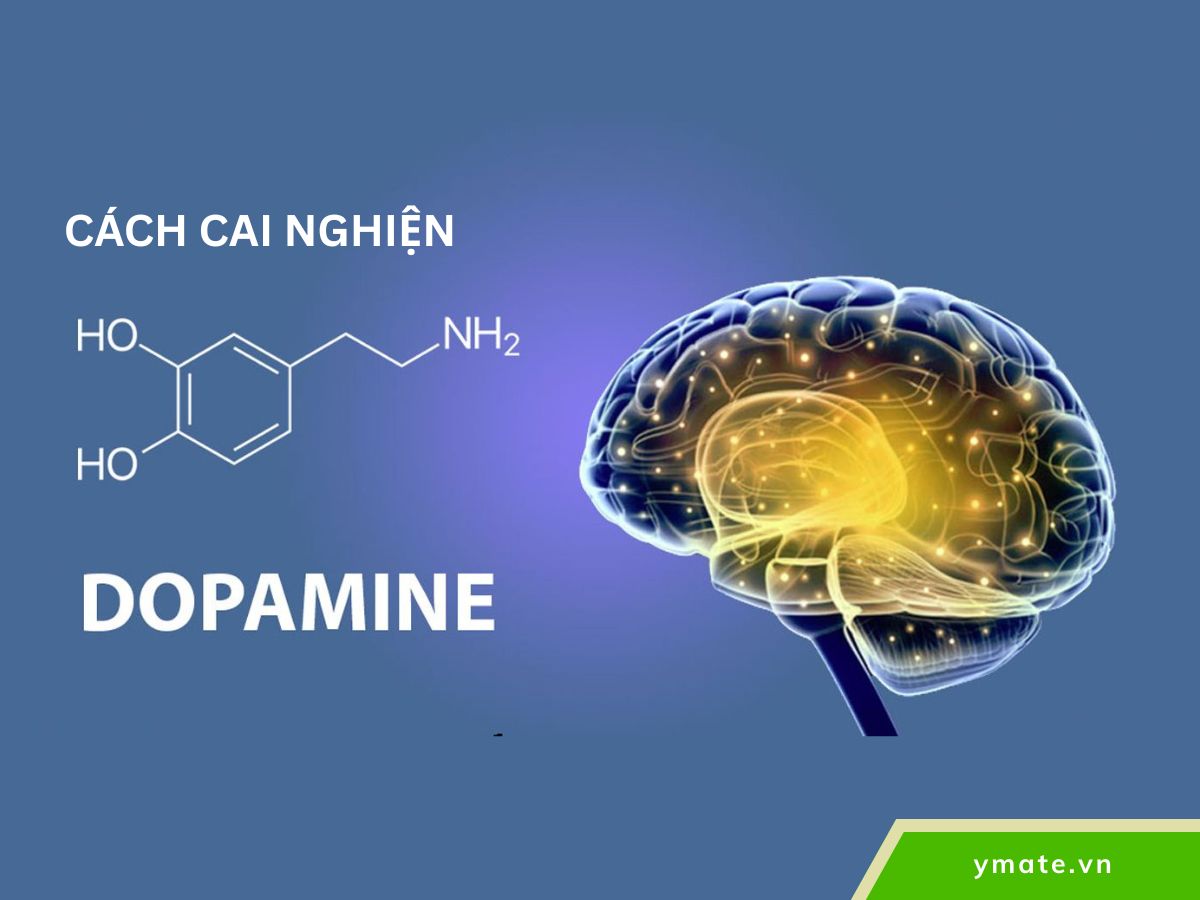 Cách cai nghiện Dopamine